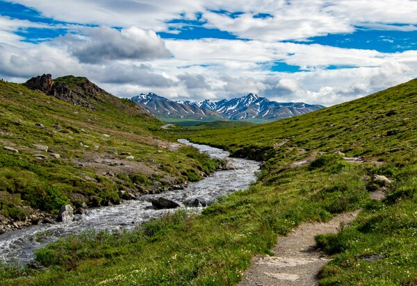 Savage River Hike Denali National Park in Alaska